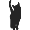 Mon chat