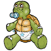 Li'l Turtle