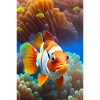 Clownfisch