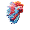 Bettafish Fish