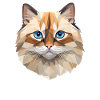 Birman Cat Polygon Design