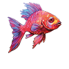 Cherry Barb Fish Aquarium