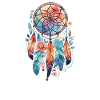 Dream Catcher Feathers