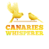 Canary Whisperer Canaries Whisperer