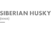 Siberian Husky Definition