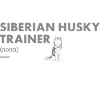 Siberian Husky Trainer Definiton