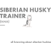 Siberian Husky Trainer Definiton