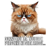 Chats mèmes sarcastique humoristiques