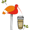 I just need Coffee