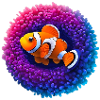 Clownfish and anemone