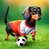Dackel beim Hundefußball