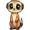 Erdmännchen