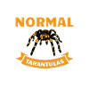 Spider Lovers Tarantula Owners
