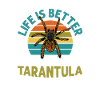 Spider Lovers Tarantula Owners