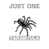Spider Lovers Tarentula Propriétaires