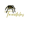 Spider Lovers Tarentula Propriétaires