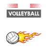 It's Volleyball Time