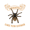 Spider Lovers Tarantula Owners