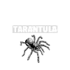 Spider Lovers Tarentula Propriétaires