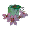 Juwelenkäfer