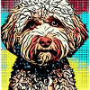 Poodle Cross Pop Art