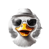 what the duck