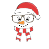 Funny Christmas Snowman Face Leopard