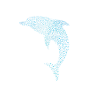 Schöner Delphin Beautiful Dolphin
