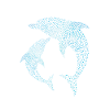 Delfine Dolphins