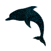 Niedlicher Delphin Cute Dolphin