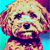 Poodle Cross Pop Art