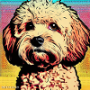 Poodle Cross pop art