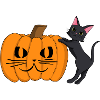 Black Cat with Pumpkin Grimace
