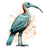 Gib le Ibis sacré