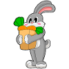 Rabbit Carrot
