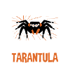 Spider Lovers Tarentula Propriétaires