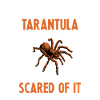 Spider Lovers Tarentula Propriétaires