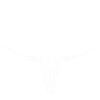 Longhorn Texas