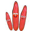 Concombre,Concombre de fête,Concombre Rieur