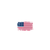 Distressed US Flag USD Graphic