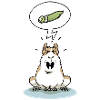 Guinea pig wants cucumber