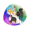 Dogs