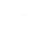 Evolution - Équitation - Équitation Western