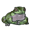 Cute Sitting Frog