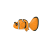 Clownfisch