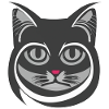 Cat Volutes