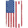 Siberian Husky Us Flag