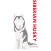 Siberian Husky Us Flag