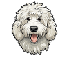 Maremmano Abruzzese dog breeds