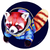 Panda de l’espace